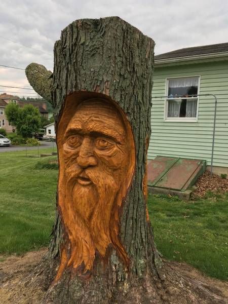 Набористый набор картинок
