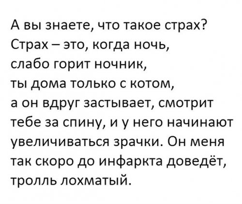 Аморальный и чёрный юмор к началу недели