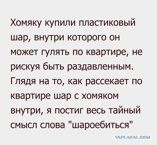 Журнал деградант
