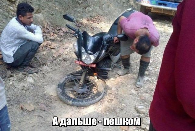Подборка интересных и веселых картинок