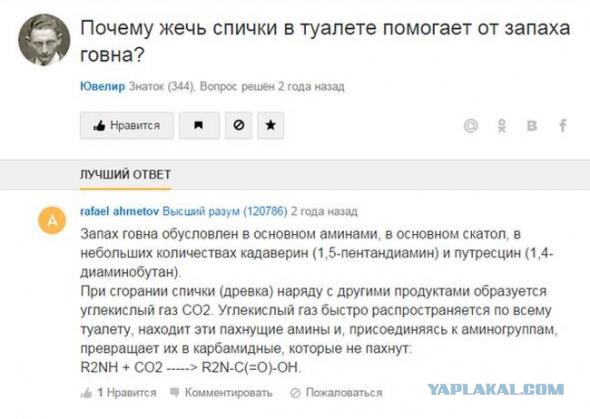 Зачем батону полоски: почему привычные нам вещи выглядят так, а не иначе