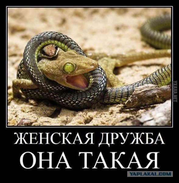 Муж лучшей подруги - почему бы нет?