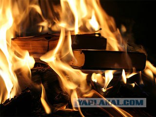 Сумасшедшие Штаты Америки