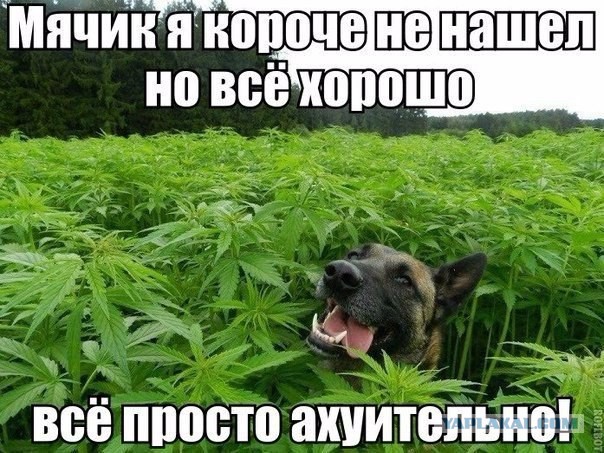 Смешные комментарии из социальных сетей 22.02.2018