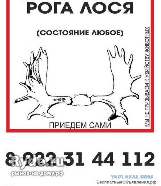 Отец 9 детей потребовал развода, после того как узнал, что всю жизнь был бесплоден!