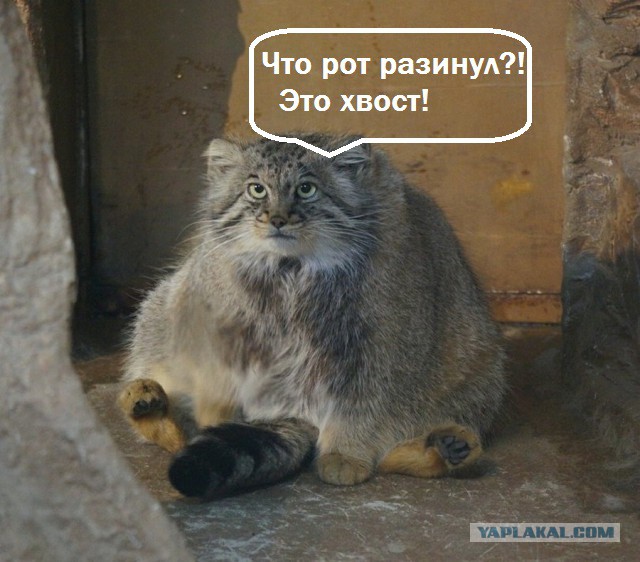 Подборка интересных и веселых картинок