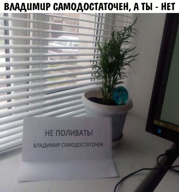 Люди с весьма своеобразным чувством юмора