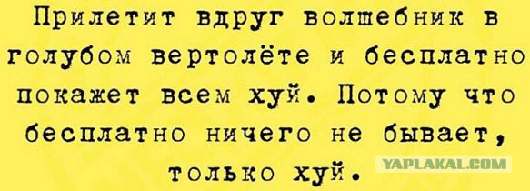 Немного картинок в этот вторник