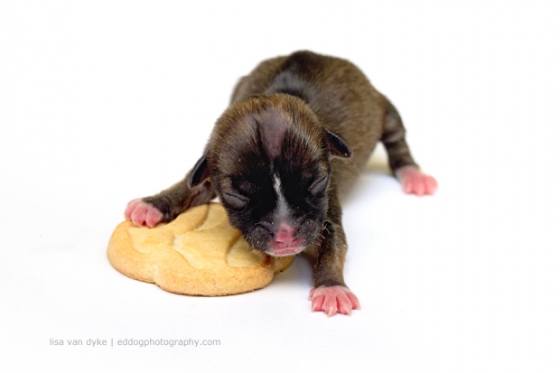 Чудо под названием жизнь!