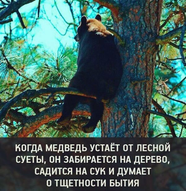 Умные мысли - 23