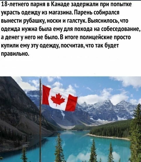 Анекдоты, соц-сети, истории и картинки с надписями