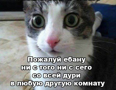 Картинки для улыбнуться