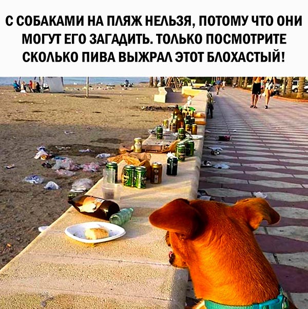 Картинки с надписями 3.08.19