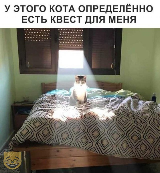 Немного картинок для настроения 25.10.19