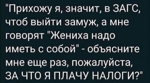 Прикольные картинки и фото с надписями и коментами