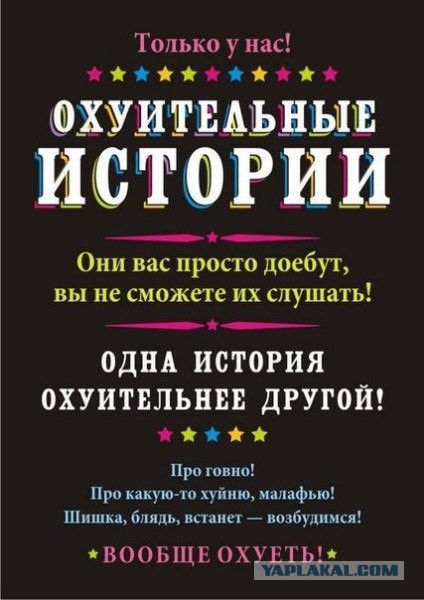 Стая бродячих псов утроила охоту на североуральского подростка