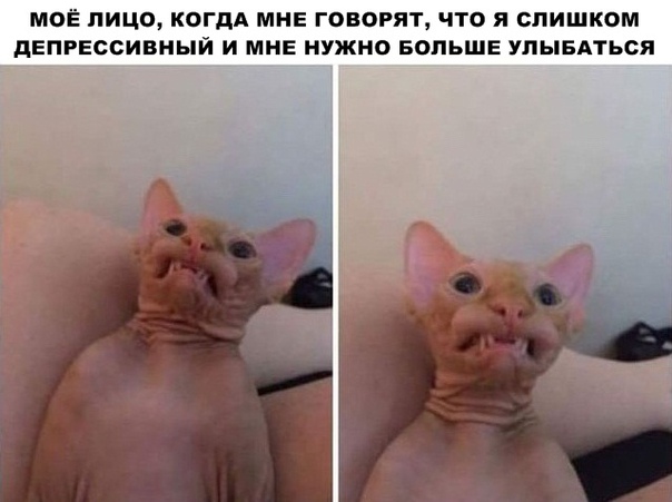 Немного картинок для настроения 23.12.19