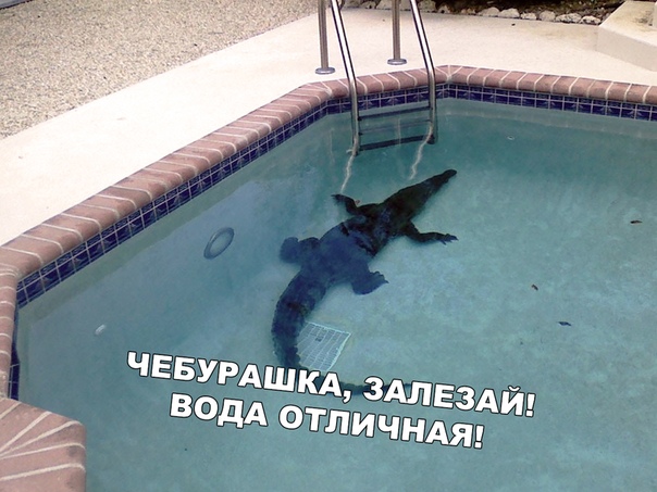 Бредзона 23.02.20