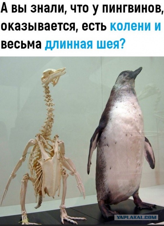 Бредзона 15.09.2020
