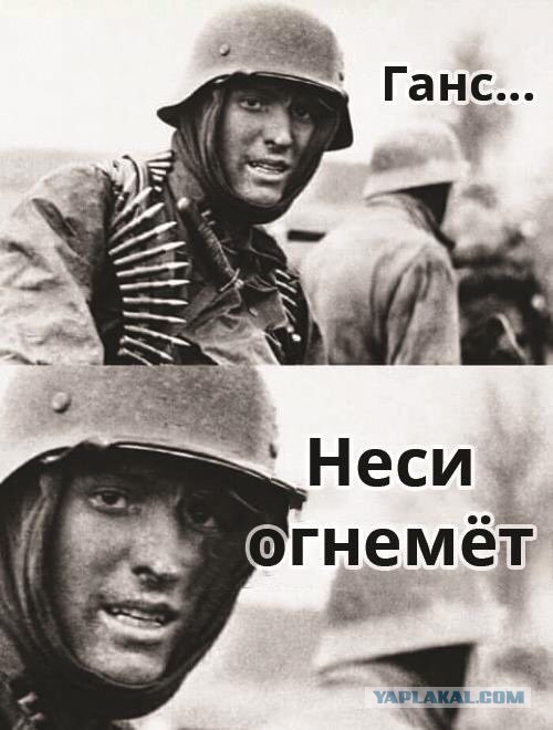 Кусок мяса «ожил» на разделочной доске и чуть не сделал повара вегетарианцем