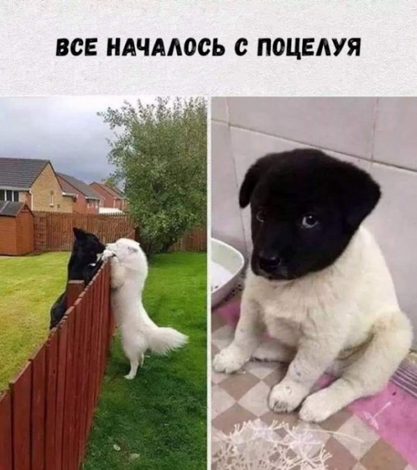 Прикольные и просто красивые картинки 22.10.2020