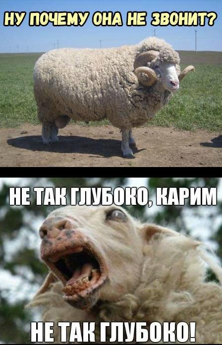 С миру по нитке 11.01.21