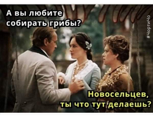 Юмор и прикольные картинки