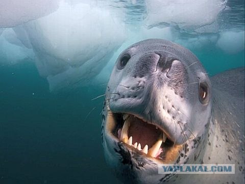 Держась за руки