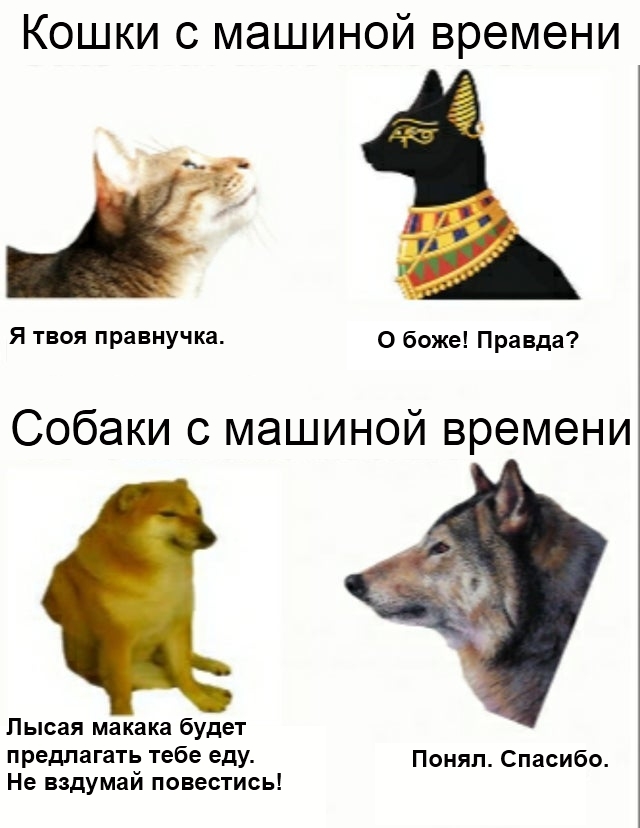 Картинки с надписями и всякие жизненные фразы 10.07.21