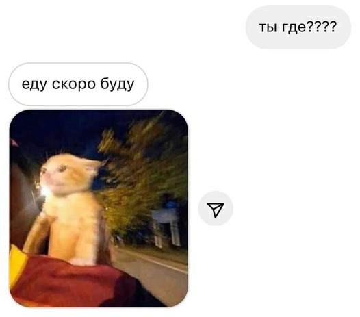 Картинки и мемы для настроения 09.08.2021