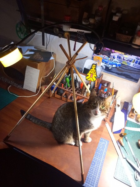 Кошкин дом