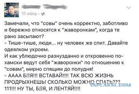 В Городе Сов