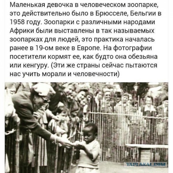 Германия призвала НАТО начать угрожать России