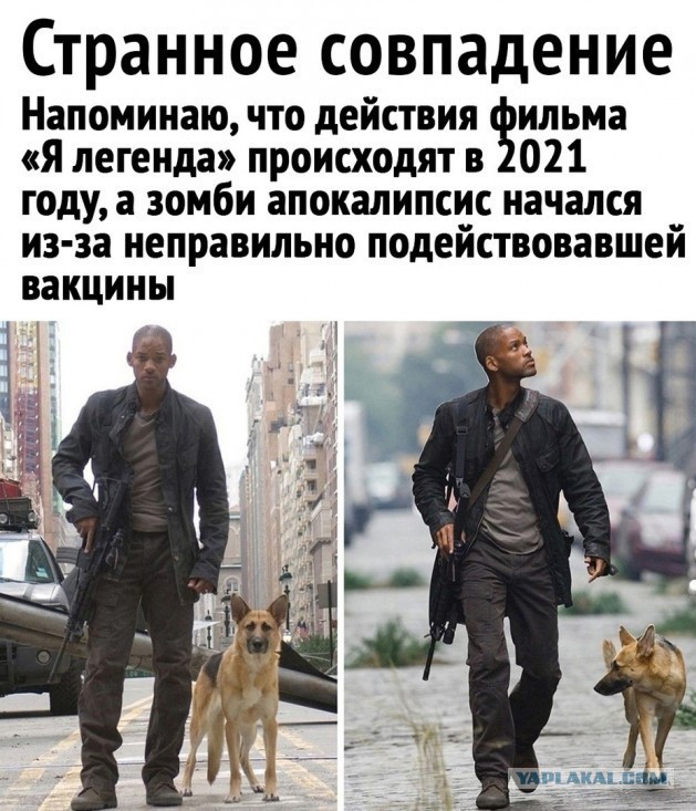 Чуток картинок 22.12.21