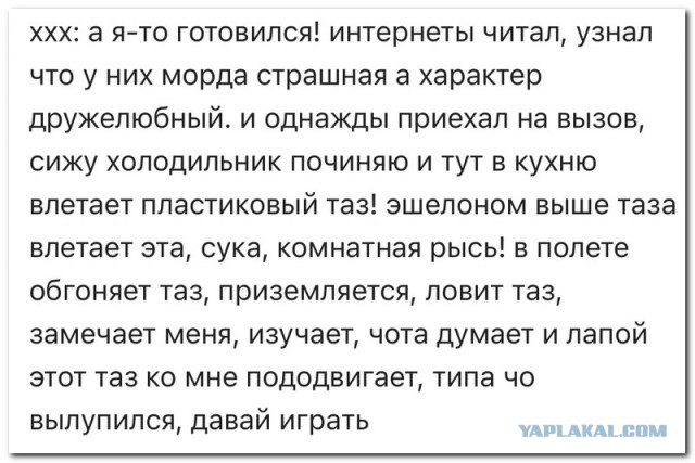 Забавные комментарии из социальных сетей (27.12.21)