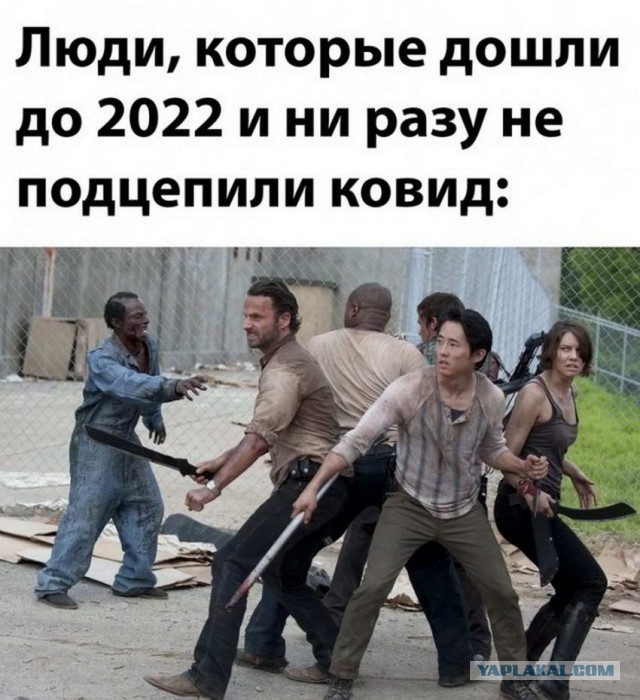 Картинки и мемы для настроения  - 25