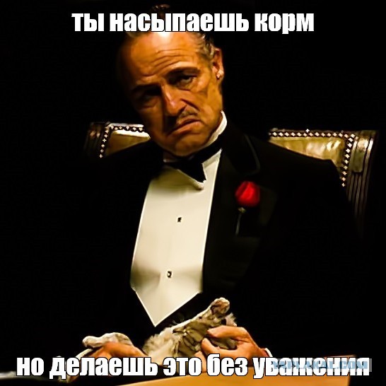 Поцеловала котика