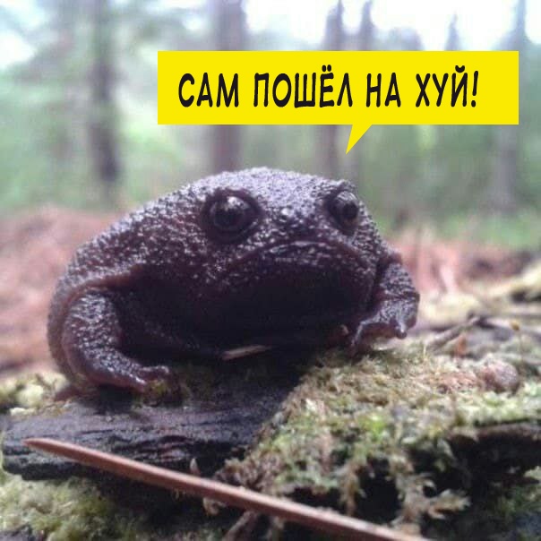 Картинки аморальные и всякие разные - 31