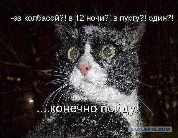 Арестович назвал сдачу Лисичанска и Северодонецка удачной операцией ВСУ