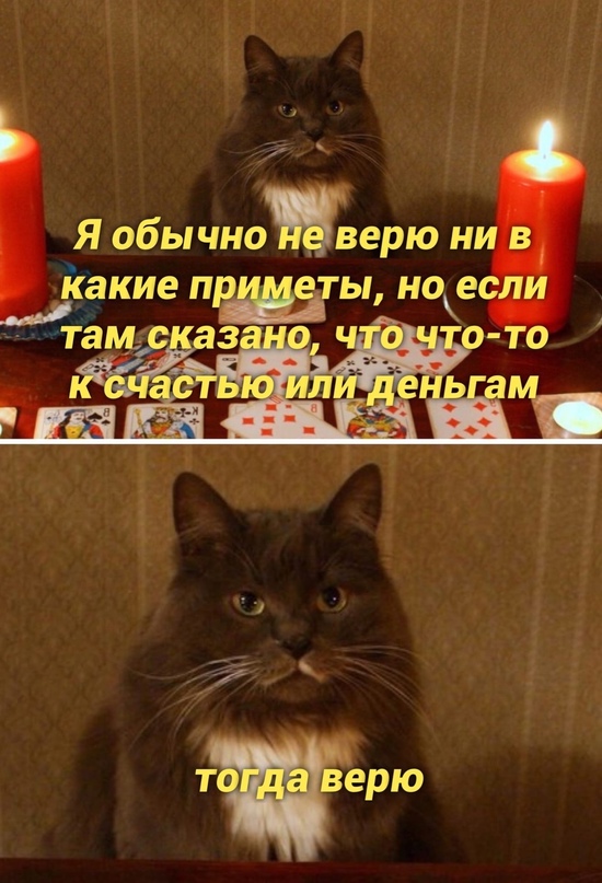 Немного картинок для настроения - 112