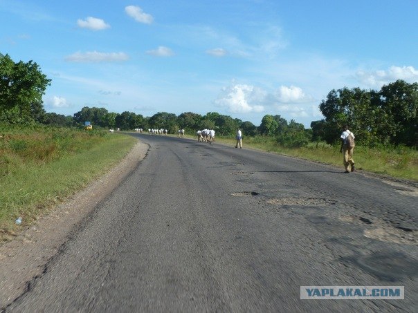 AFRICA - (Эфиопия,Кения,Танзация) 4-16 ноября 2011
