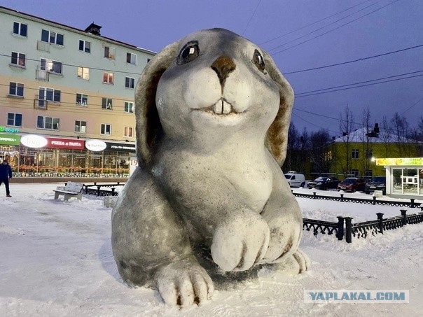 Заяц