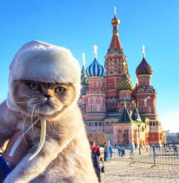 Картинки и мемы. Выходные близко...