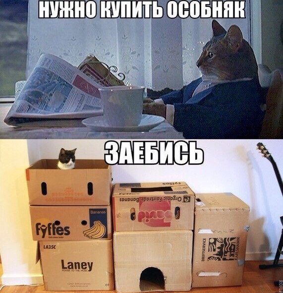 Немного картинок для настроения
