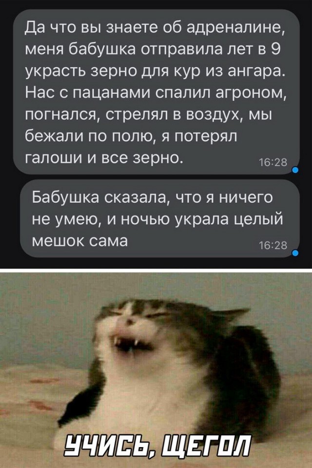 Деградация, чернота, еб@нутый йумор