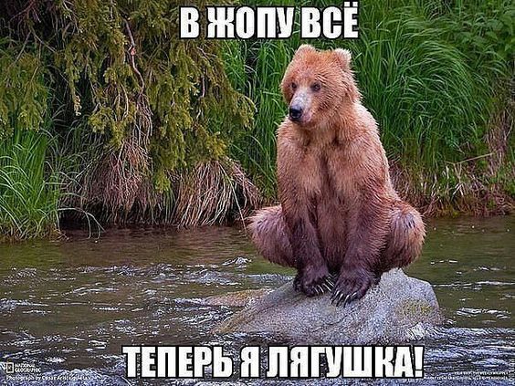 Прикольные и просто красивые картинки 17.02.2023