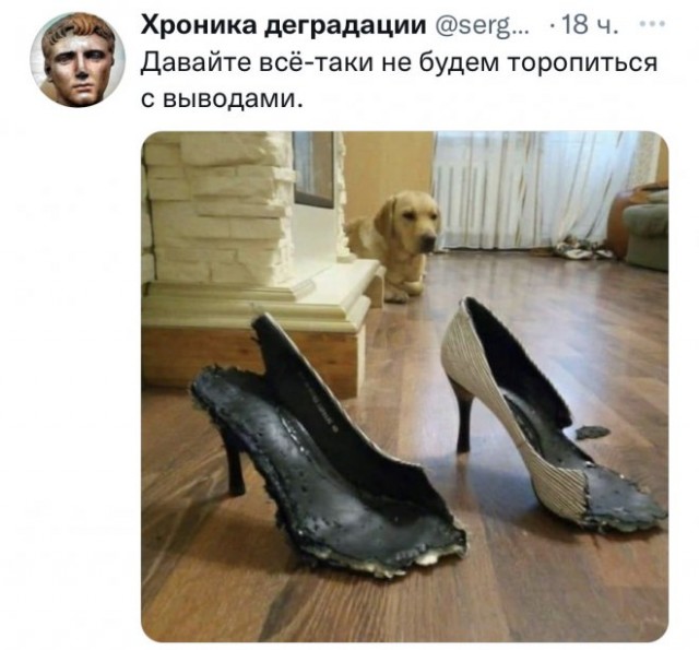 Картинки и мемы, это май-чародей всяко разно - 177