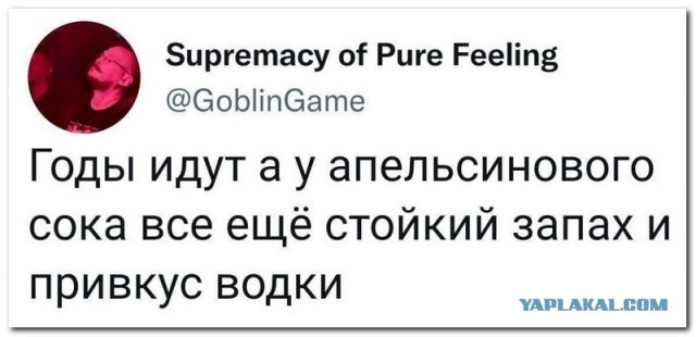 Забавные комментарии из социальных сетей (15.05.23)