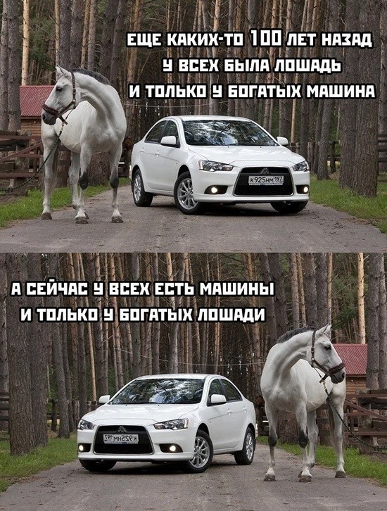 Весёлый полтишок 30.07.23