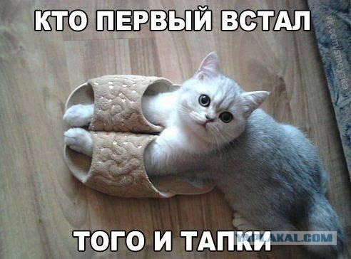 Демократия в опасности!